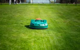 bigmow_bm_1050.webp