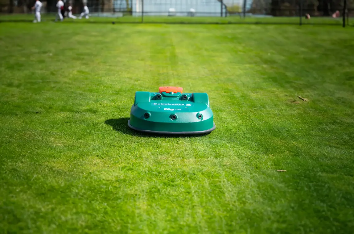 bigmow_bm_1050.webp