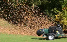 imported-3668de3eeb6a4cacb4cf39711d87b838.jpg
